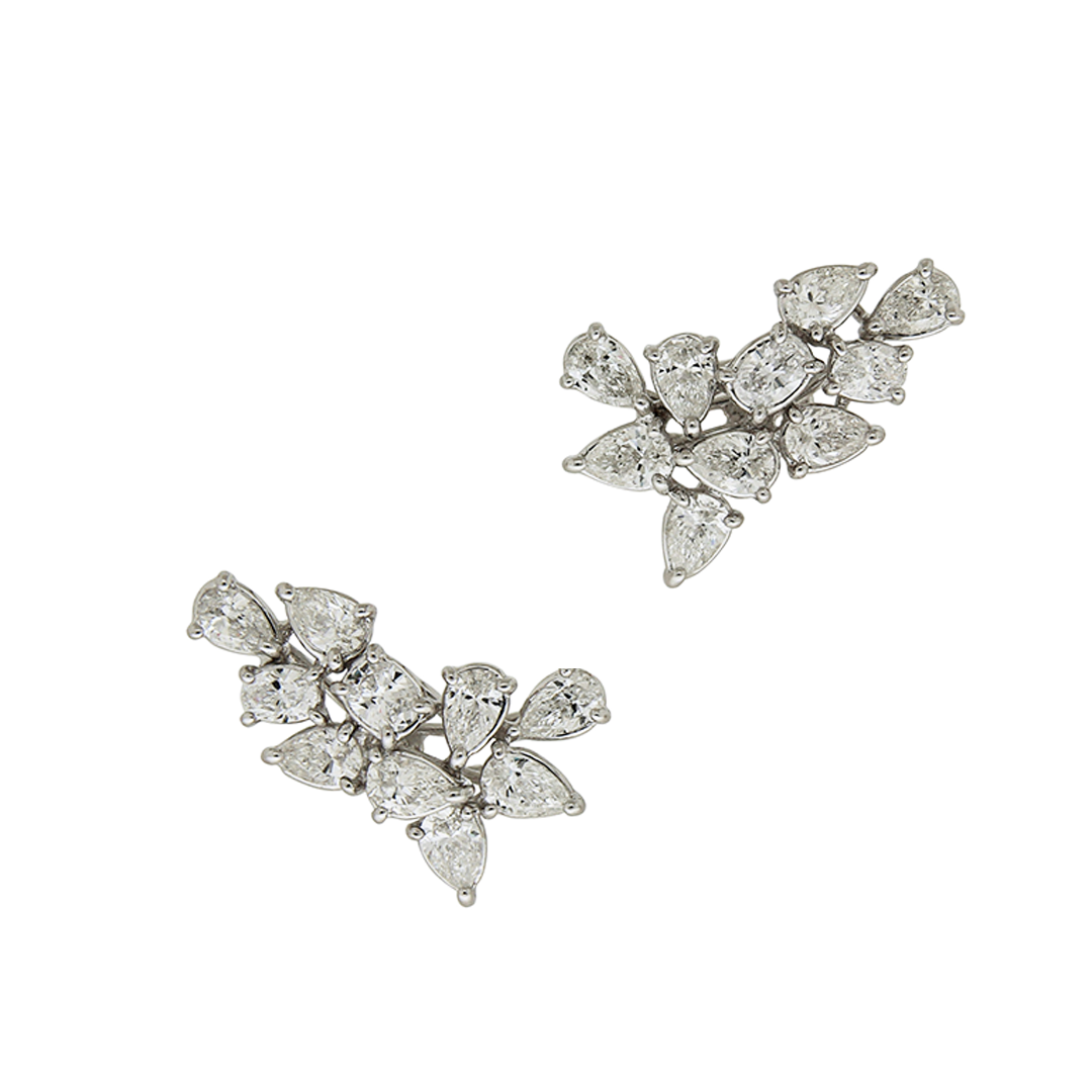 Daffodils - White