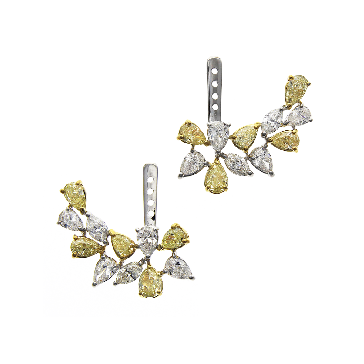 Cress - Gold