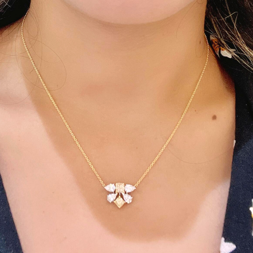 Fly